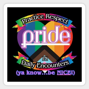 Pride: Practice Respect in Daily Encounters Magnet